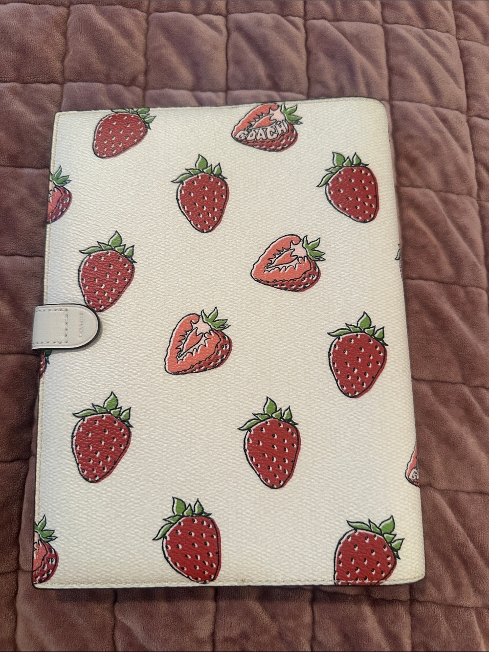 NEW Coach Leather Cream Color and Strawberry Print Notebook - Picture 7 of 12
